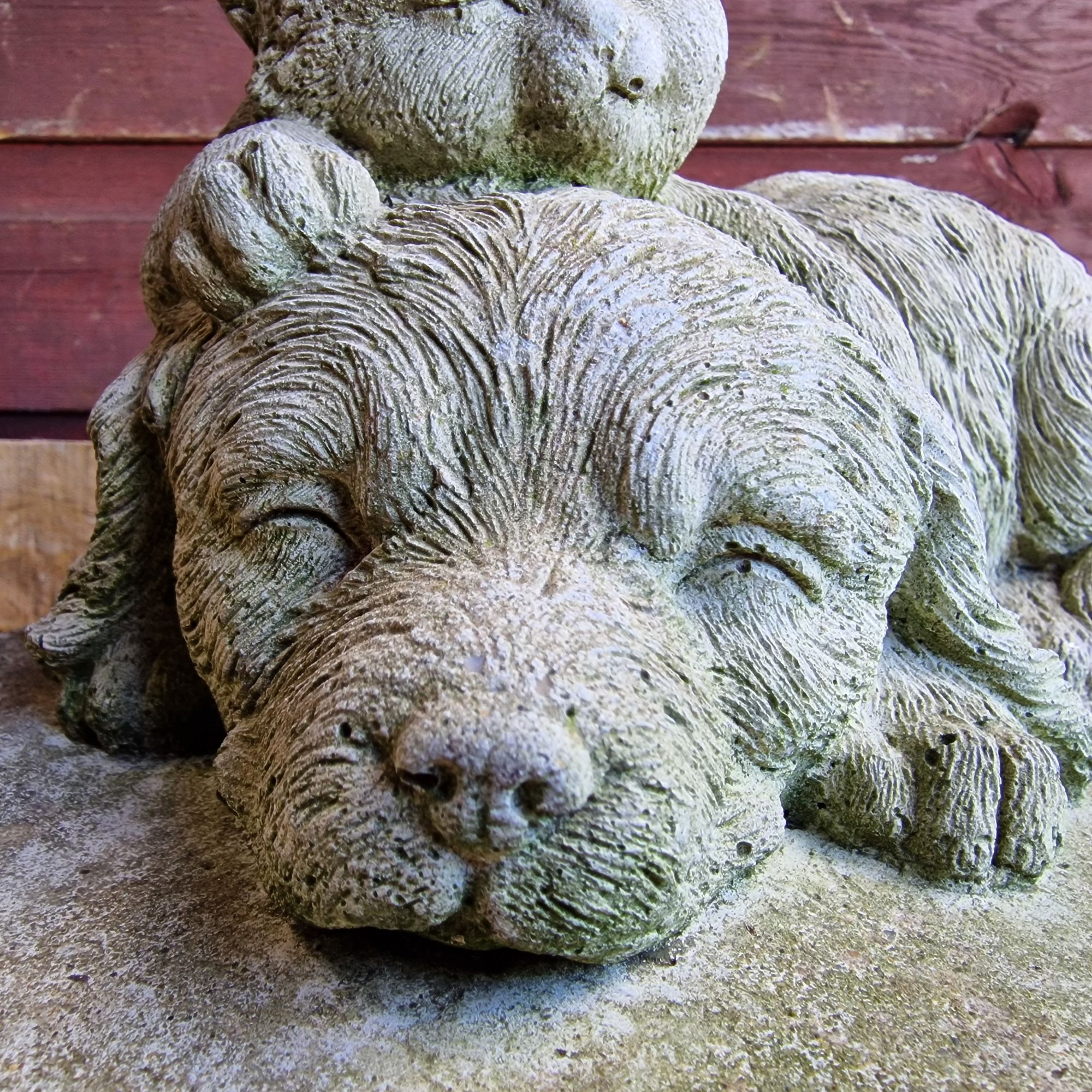 Kitten cuddling dog concrete ornament